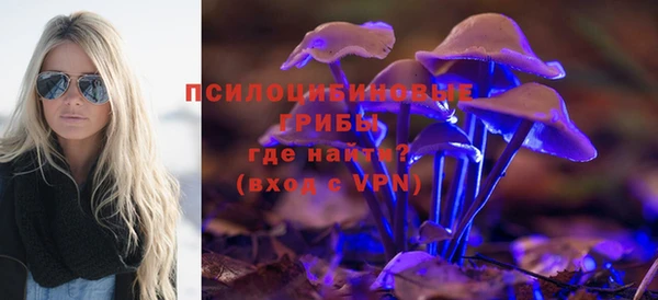 таблы Каменка