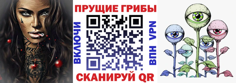 Купить  Бор  Псилоцибиновые грибы Magic Shrooms 