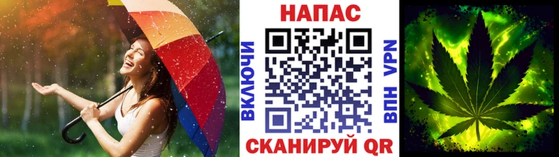 Конопля гибрид Купить Бор